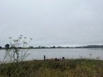 Water Sky Plant Natural landscape Lake